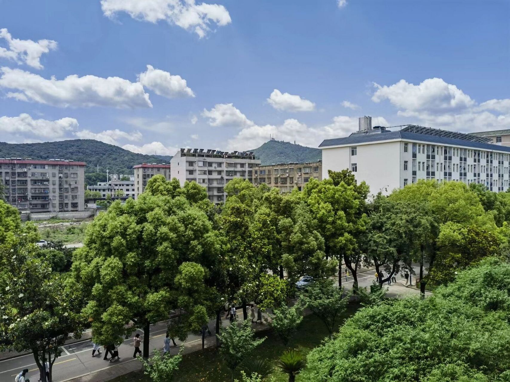襄阳科技职业学院正式成立 今年启动高职招生